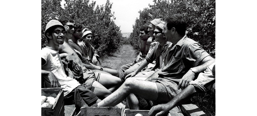 Одежда была и для полей, и для кабинетов министров