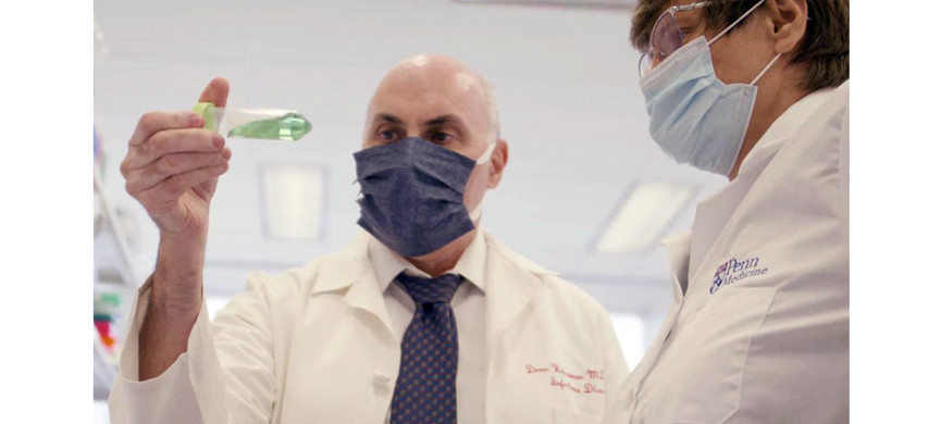 Вайсман и Карико долго изучали возможности РНК