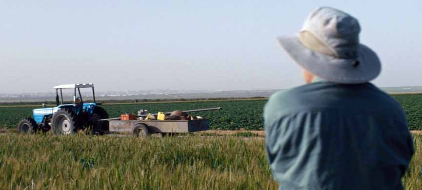 Отец и сын работают в поле по соседству с арабскими деревнями за стеной