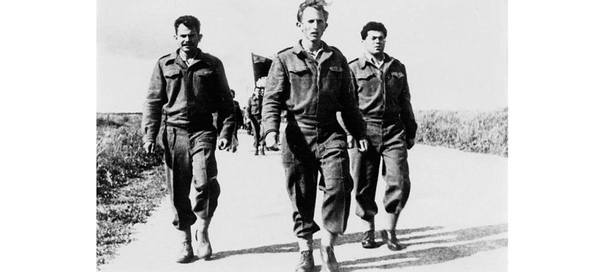 Юность Цвик провёл в рядах «Пальмаха»