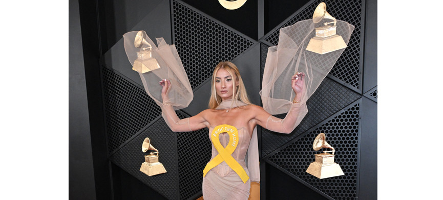 Так выглядело её платье-лозунг на «Грэмми»