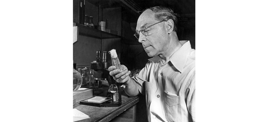 Герман Мёллер хотел замораживать сперму великих людей