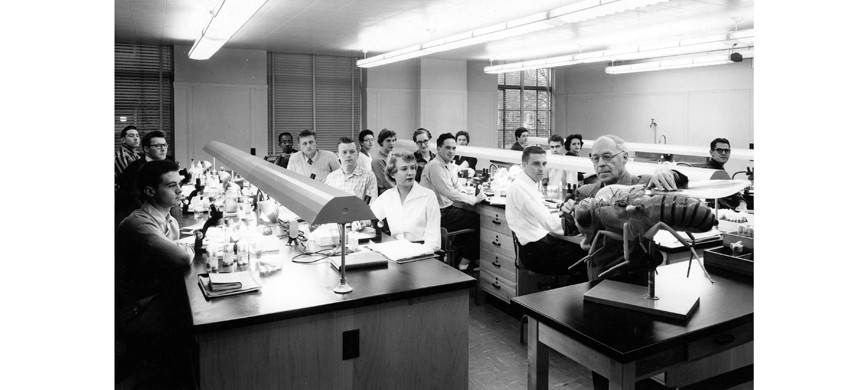 В США Левит лично познакомился с Германом Мёллером